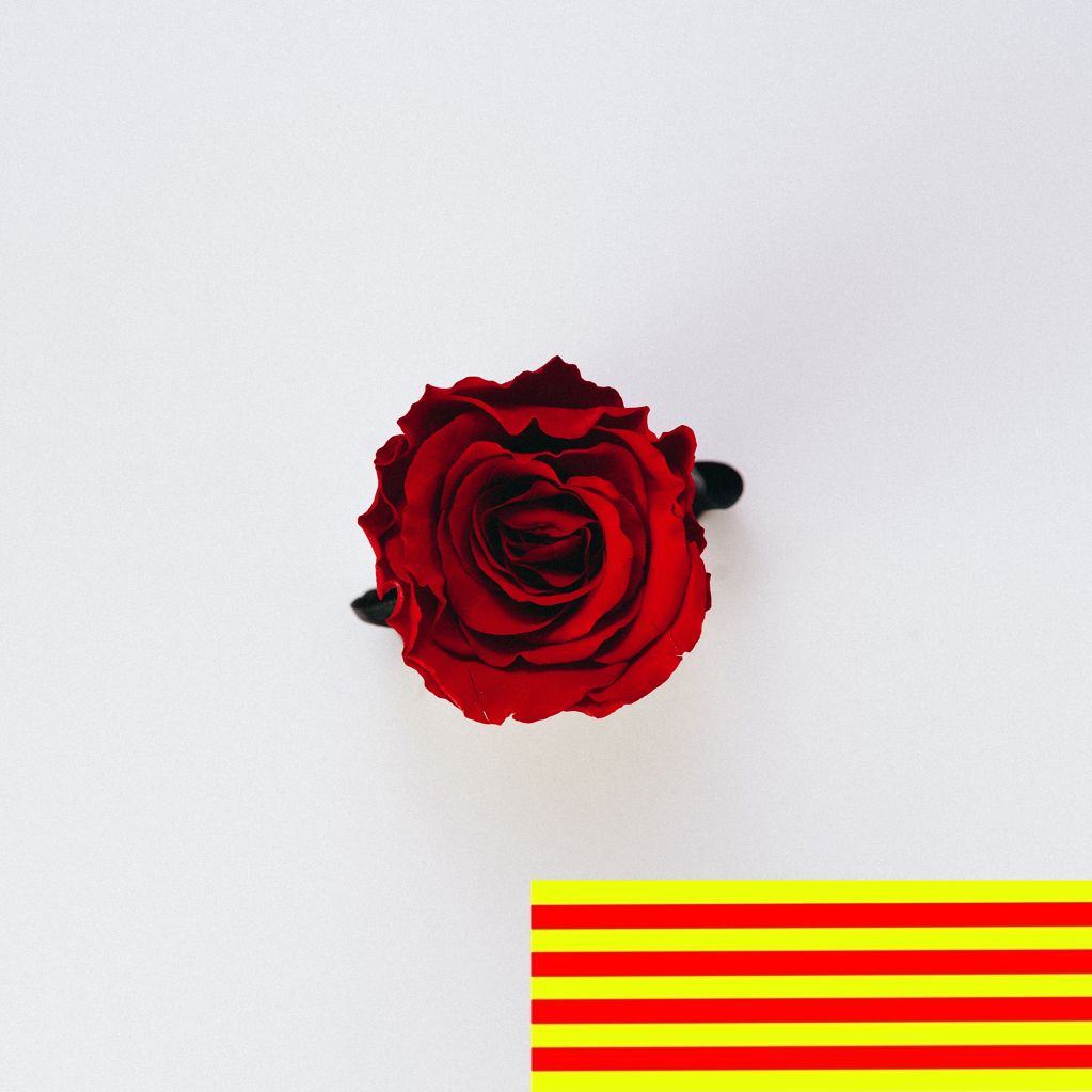 Jornada de Sant Jordi