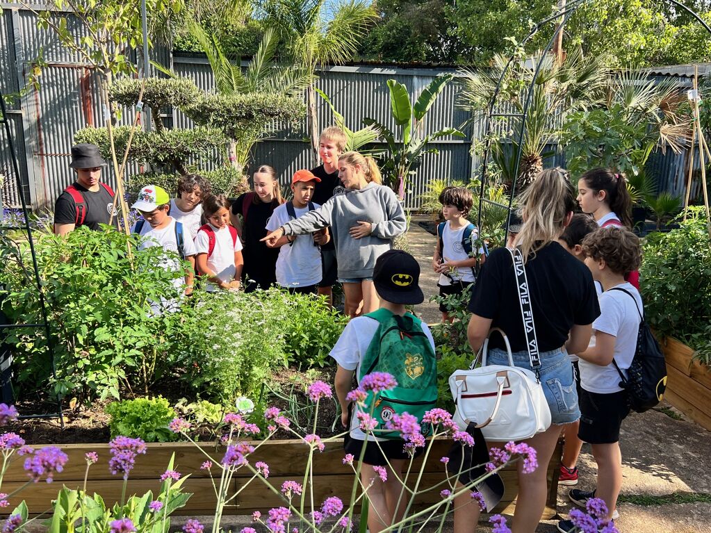 EXPERIENCIA ENTORNO A UN HUERTO ECOLÓGICO