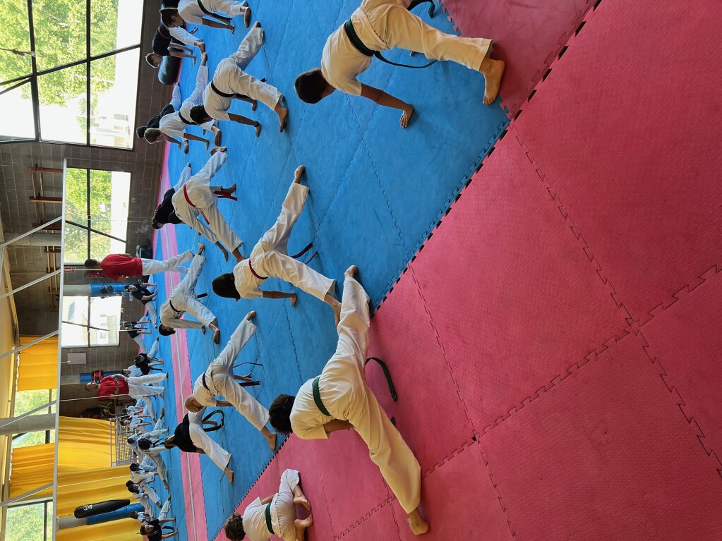 De nuevo sobre el tatami