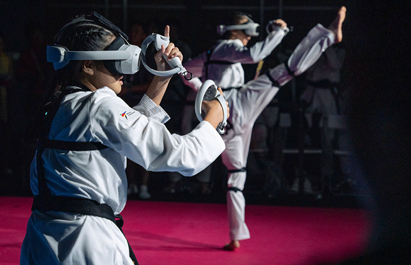 I CAMPEONATO VIRTUAL DE TAEKWONDO EN BARCELONA
